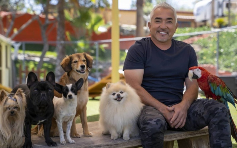 César Millán llega a la Expo Mascotas 2026