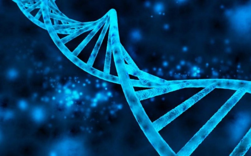 Variante genética puede proteger contra el alzhéimer precoz