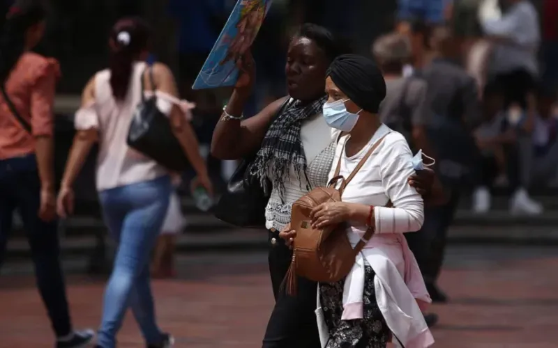 621e87147cf8a.r_d.1524-1188-46dbe8.webp