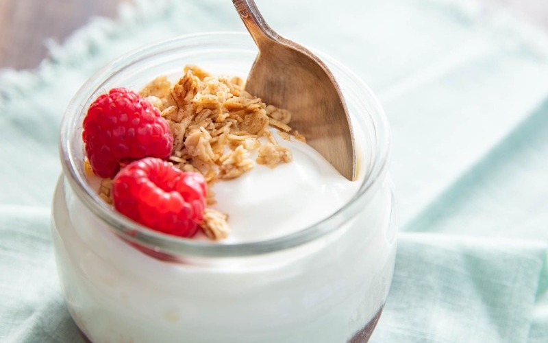 Lactobacillus del yogurt favorece la salud mental