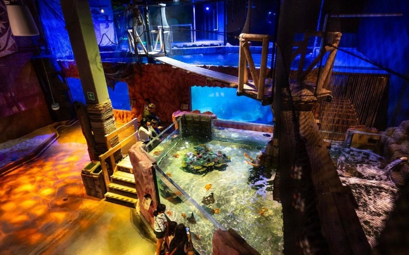 Acuario interactivo “Acuarioventura” abre sus puertas por primera vez en México
