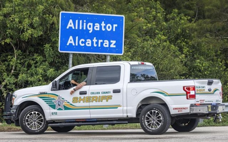 alligator-alcatraz-800ad3.jpg