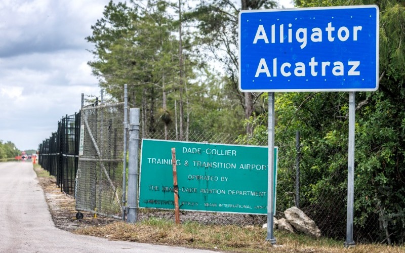 alligator-alcatrazs-3-46e14f.jpg