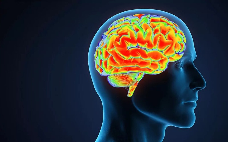 alzheimer-meta-7f6b0f.jpg