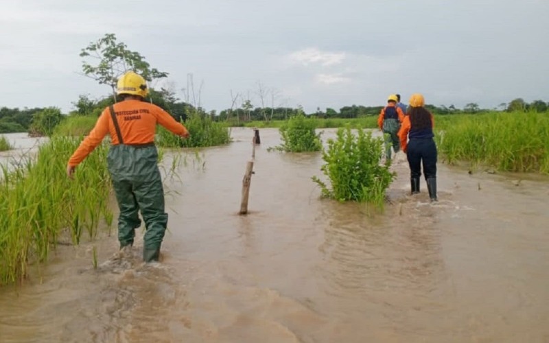 barinas-2-9f925c.jpg
