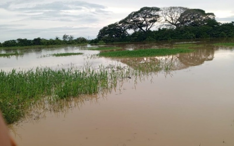 barinas-rio-a44cb8.jpg