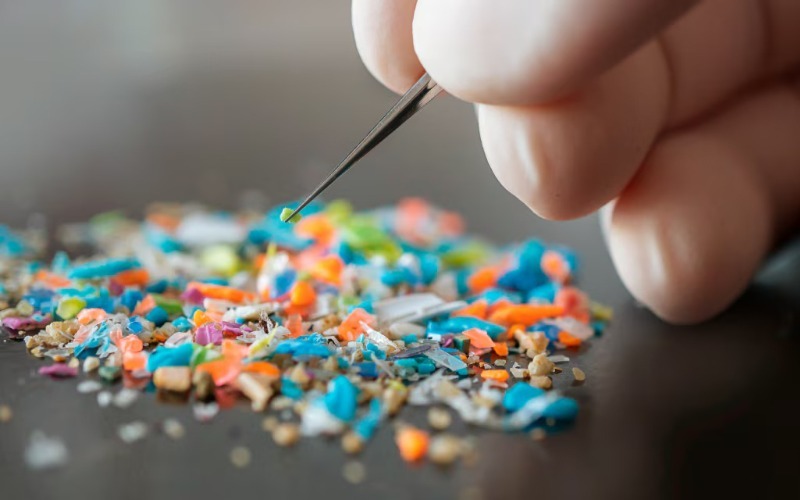 bbva-microplasticos-amenaza-invisible-en-nuestros-cuerpos-y-medioambiente-e61ce1.jpg