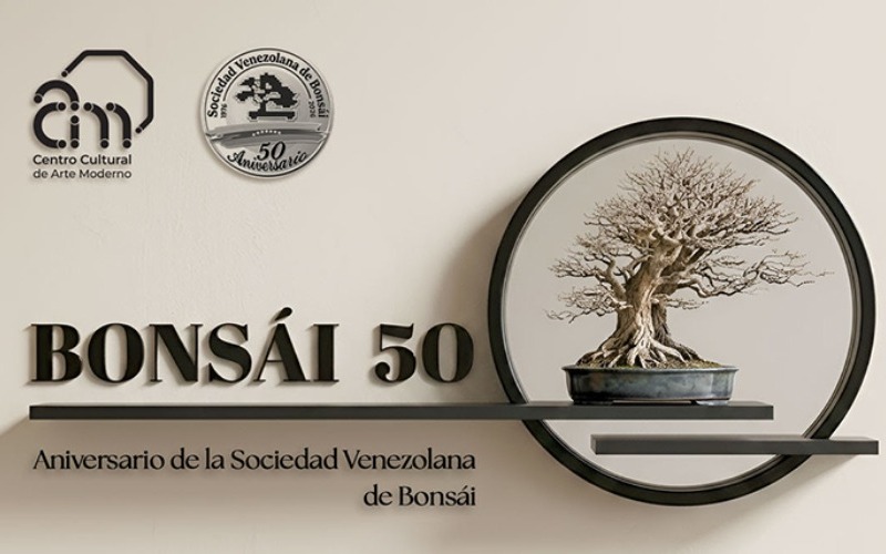bonsai01-d9362d.jpg