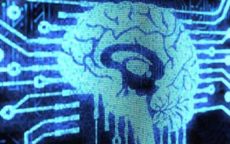 brainet-organic-computer-neuroscience-63173cb3-focus-0-0-375-240-47d450.jpg