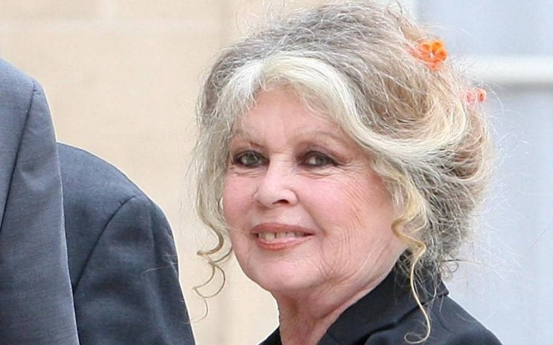 brigitte-bardot-8520d9.jpg