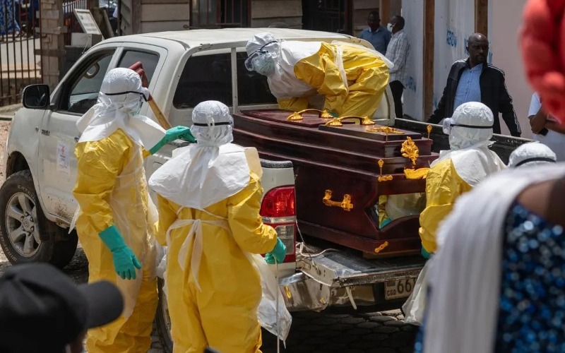 brote-ebola_104-918905.jpg
