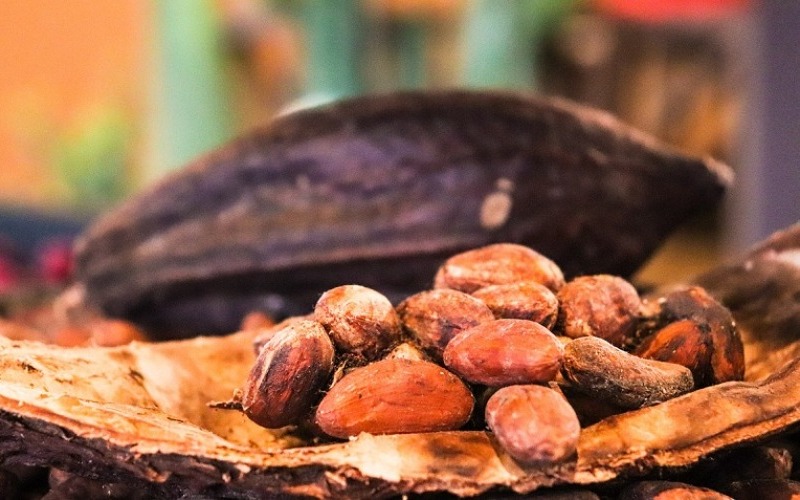 cacaochocolatevenezuela-0a8838.jpg