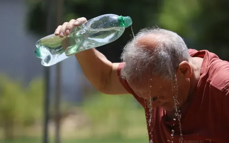 calor-fallecidos-4a491b.webp
