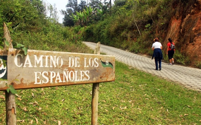 caminoespanoles1-540d25.jpg