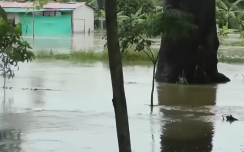 captura-de-pantalla-2026-05-27-224518-ca2a76.png