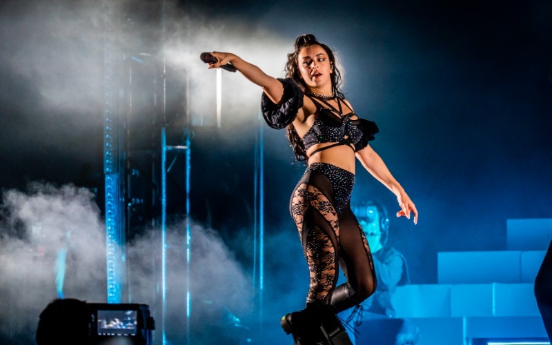 charli-xcx-at-primavera-sound-2022-wk-1-fans-by-joshua-mellin-jdmellingmail.com-joshuamellin-907dce.jpg