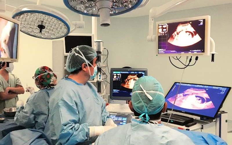 cirugia-y-medicina-fetal-en-lima-peru-ginecologia-a6782e.jpg