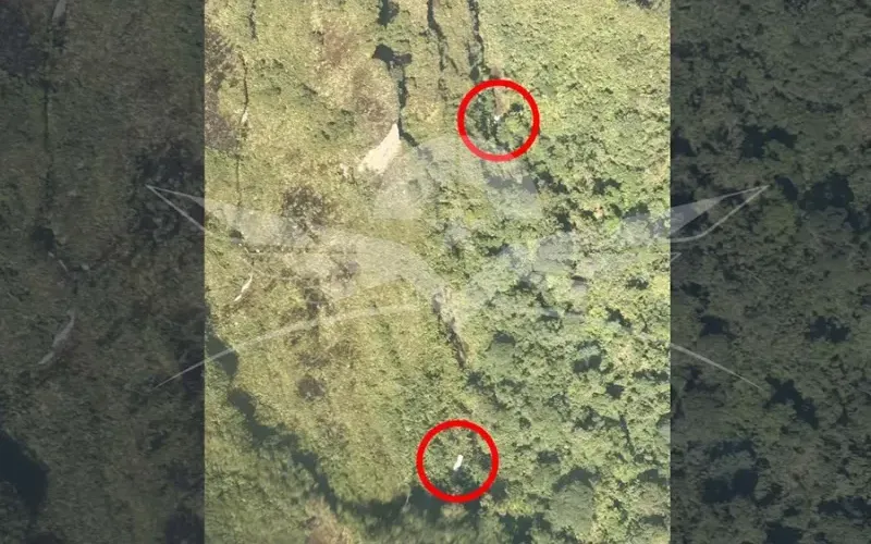 colombia-1-c08f73.webp