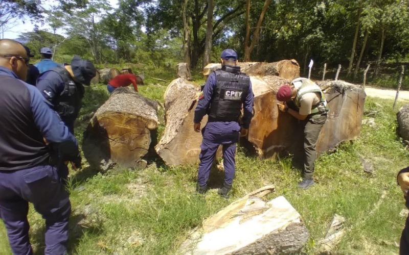 confiscan-productos-forestales-por-violar-ley-organica-del-ambiente-y-ley-de-bosques-3-1-c86280.jpg