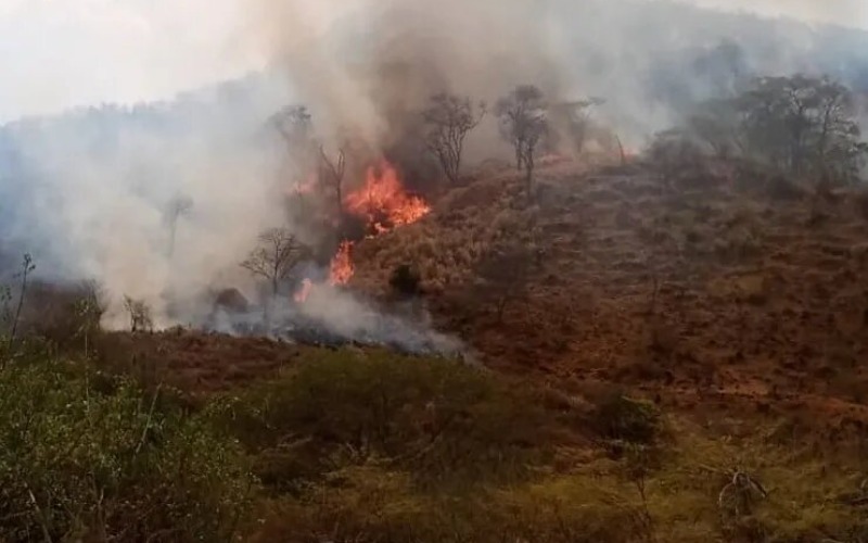 Incendio de vegetación en Falcón se extiende por más de cinco días