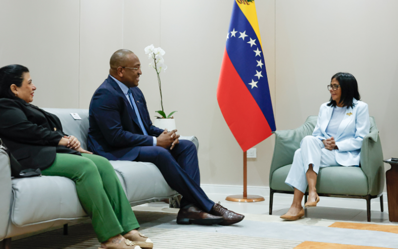 delcy-rodriguez-y-el-canciller-de-surinam-melvin-bouva-60935-625290.png