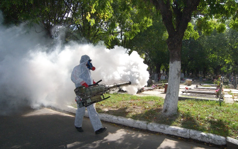 Casos de dengue suben 385 % en México