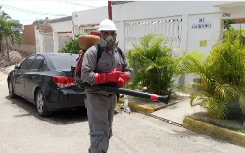 despliegan-jornada-masiva-de-fumigacion-y-control-sanitario-en-la-guaira-ae698f.webp