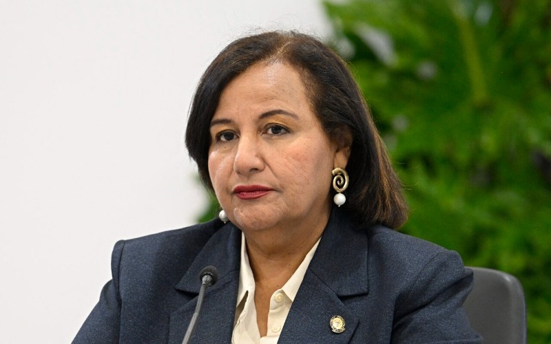 dinorah-figuera-3-9dcfc5.jpg