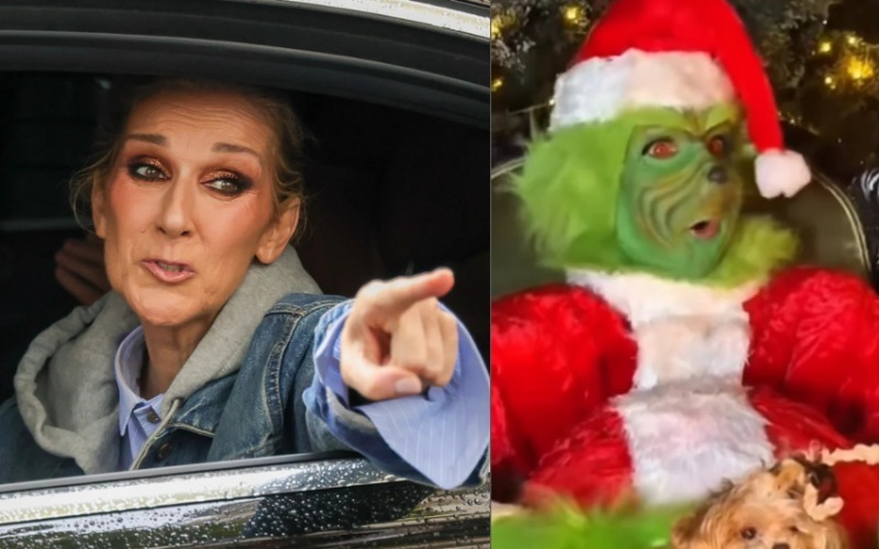 divertida-interpretacion-celine-dion-disfrazada-grinch_98-edb362.jpg