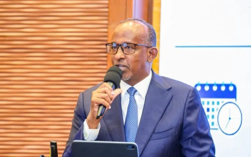 duale-54-768x528-9b53fc.jpg