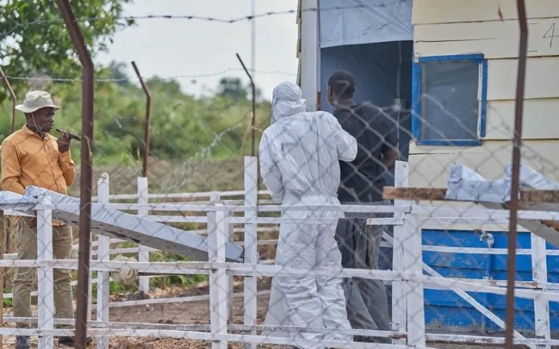 ebola-congo-684640.jpg