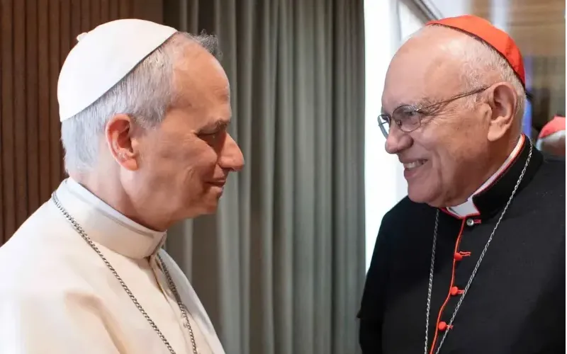 el-papa-len-xiv-con-la-serenidad-que-le-caracteriza-anunci-en-el-angelus-de-ayer-domingo-11-d-3878d1.webp