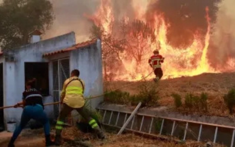 epa2347-portugal-forest-fire-c42031.jpg