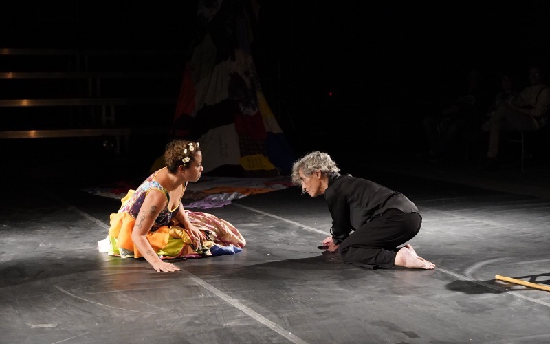 Festival de Artes Escénicas Franco-venezolano 2025 llega a Caracas