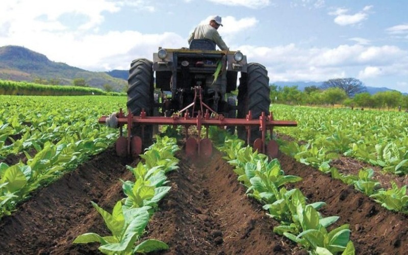 sector agrícola
