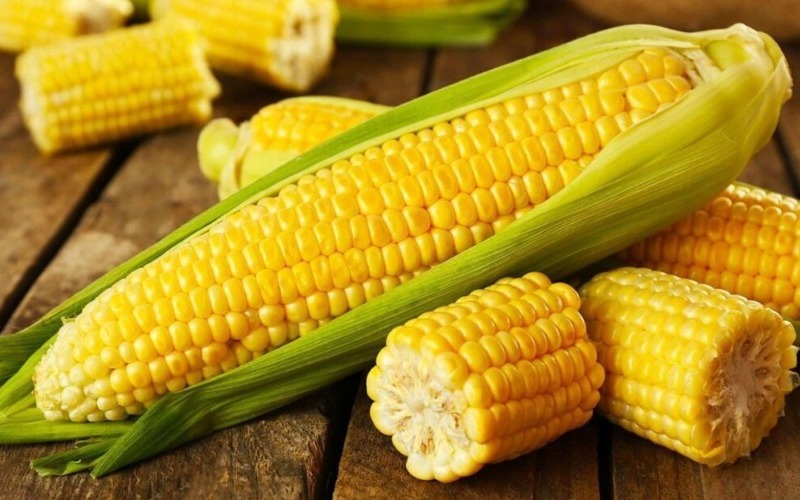 Tercera edición del Congreso Nacional del Maíz y el Arroz será en Barquisimeto