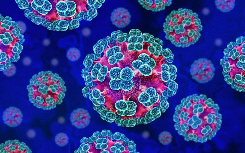hantavirus_blog-1024x627-427ff7.jpg