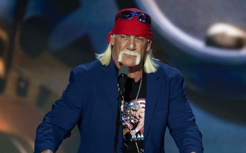 hulk-hogan-bf4749.jpg
