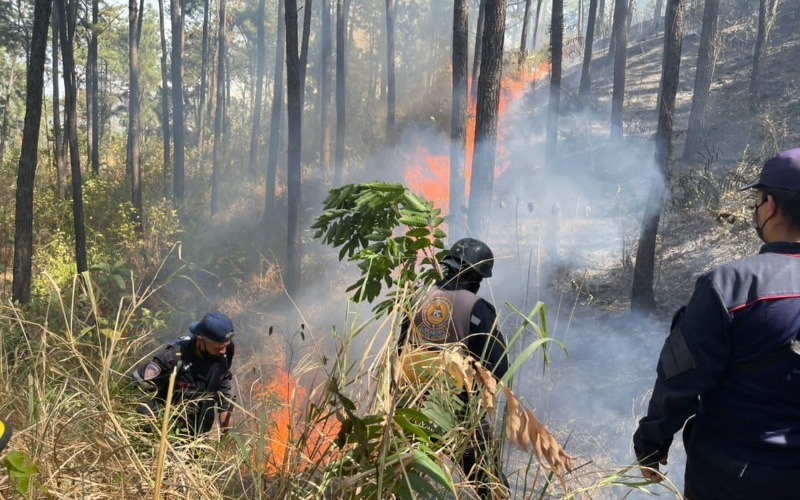 Bomberos y Guardaparques combatieron incendios forestales en Carabobo