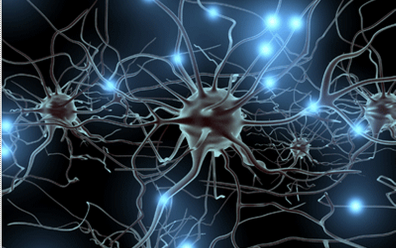 imagemain_neurons1_redimensionar-c5feb9.png