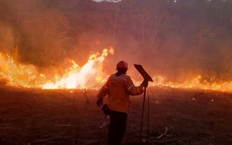 incendios-el-hatillo-1068x801-d6b152.jpg