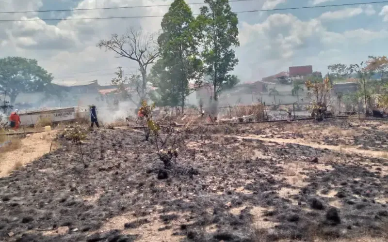 incendios_guayana.jpg-197fd7.webp