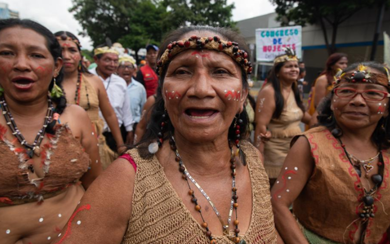 indigenas-3e4710.png