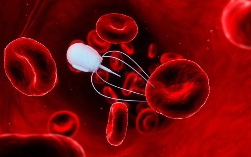 investigadores-desarrollan-sistema-con-nanorobots-para-mejorar-diagnostico-preco-20260925-112507-7job-1200x675-2a58fd.jpg