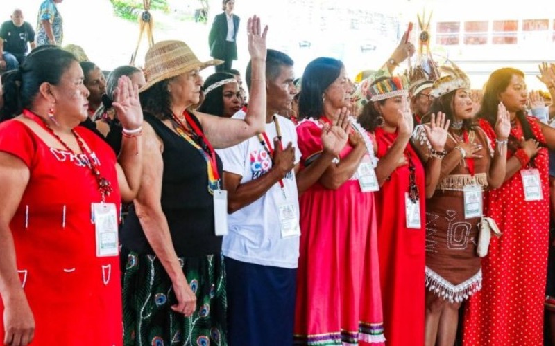 juramentan-comite-promotor-para-impulsar-conformacion-de-4775-consejos-ecosocialistas-indigenas-9-800x445-781b18.jpeg