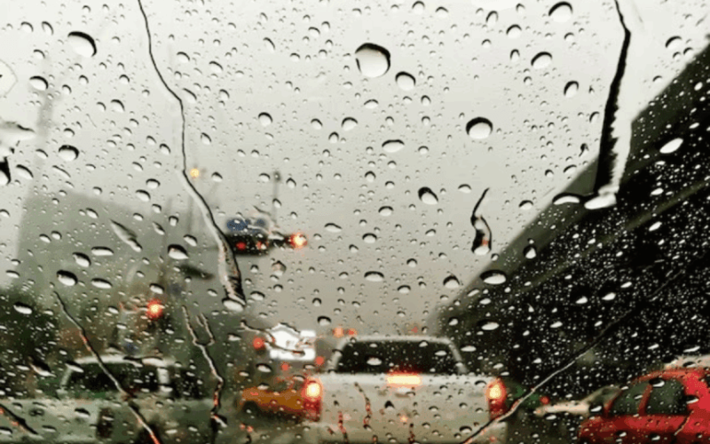 lluvias-860x559-f6dbbb.png