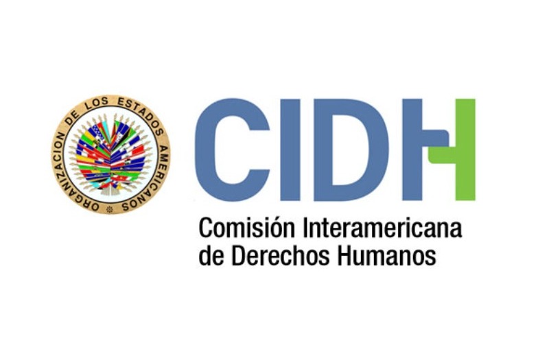 logo_cidh-38ffdb.jpg