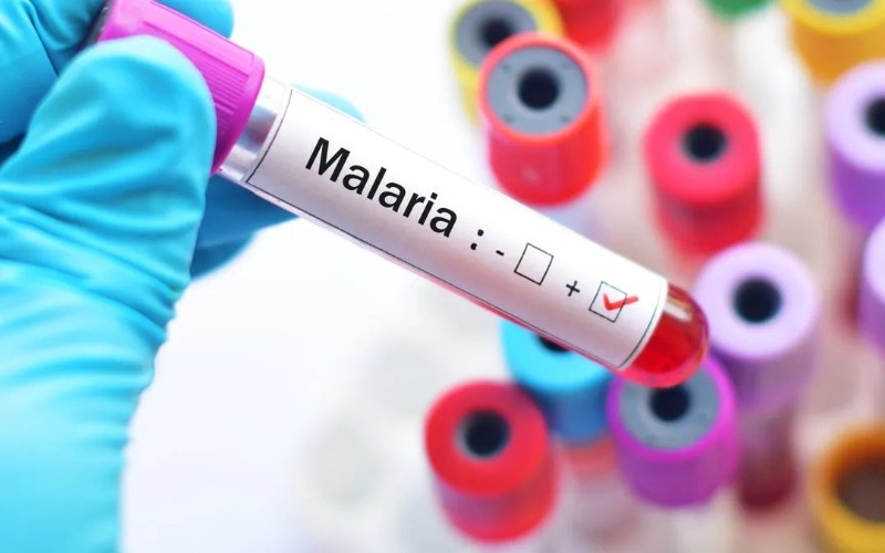 malariajpeg-268d5a.jpg