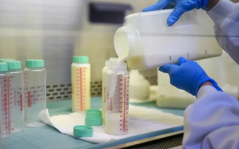 neutrofilos-leche-materna-investigacion-768x512-f9b2f4.jpg