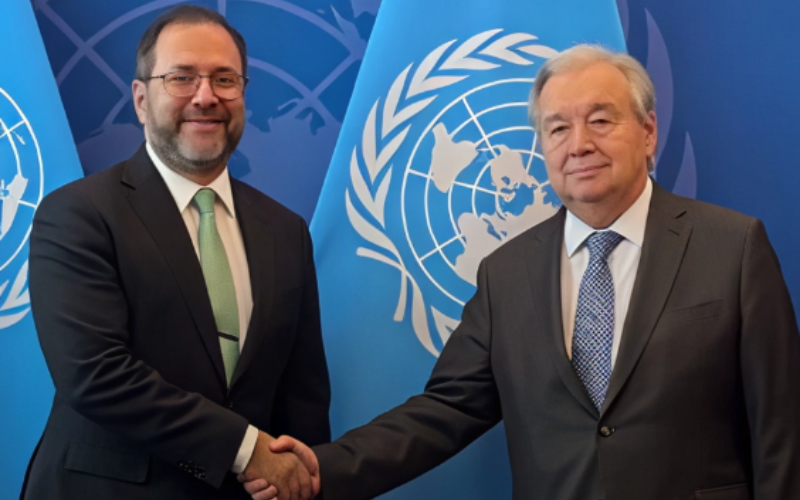 onu-pica-b312f7.png